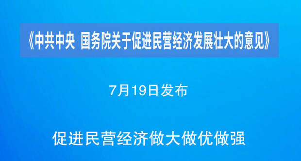中共中央 國務院關于促進民營經濟發展壯大的意見